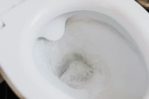 Comment supprimer le tartre dans la cuvette des wc